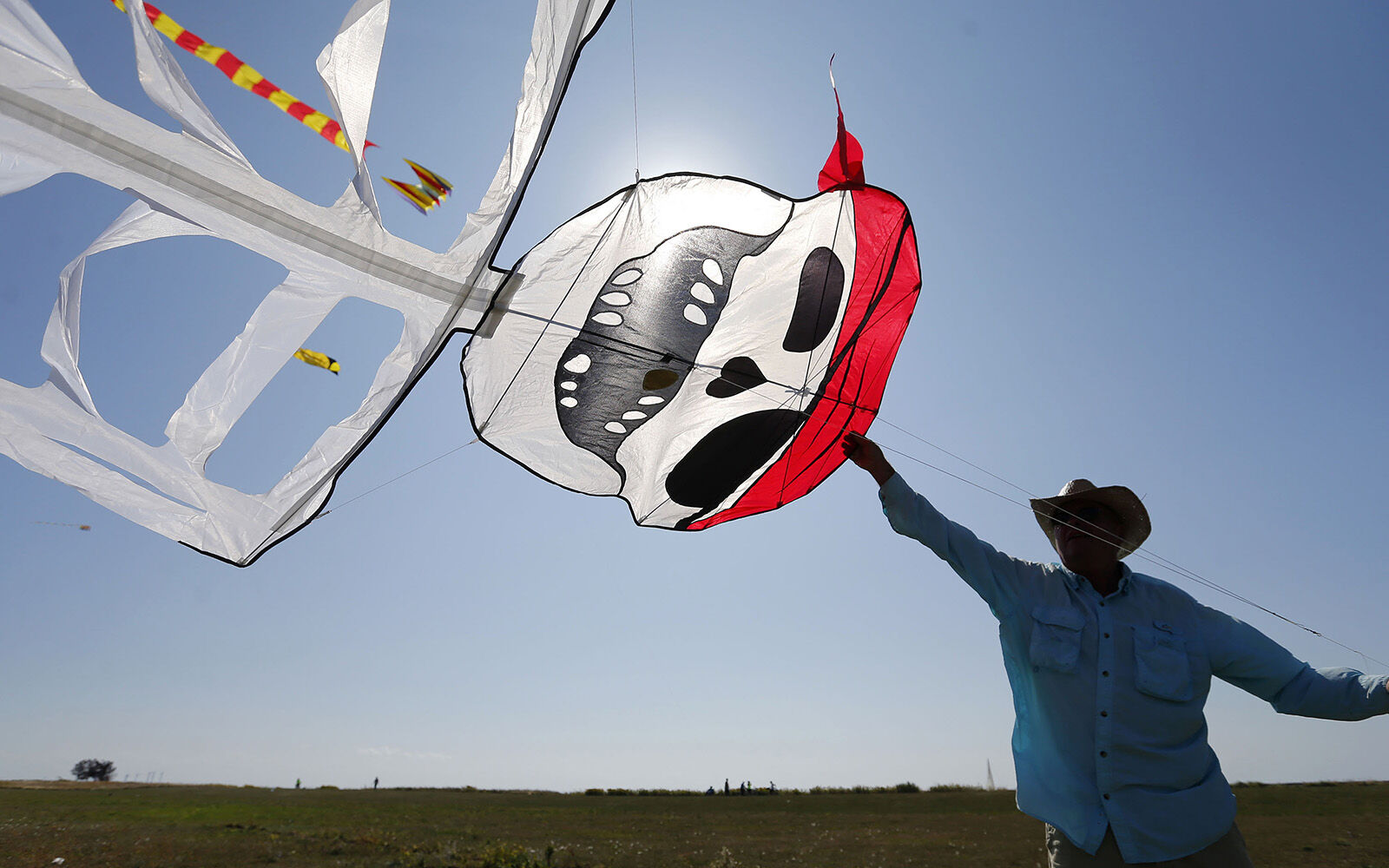 Let's go fly a kite